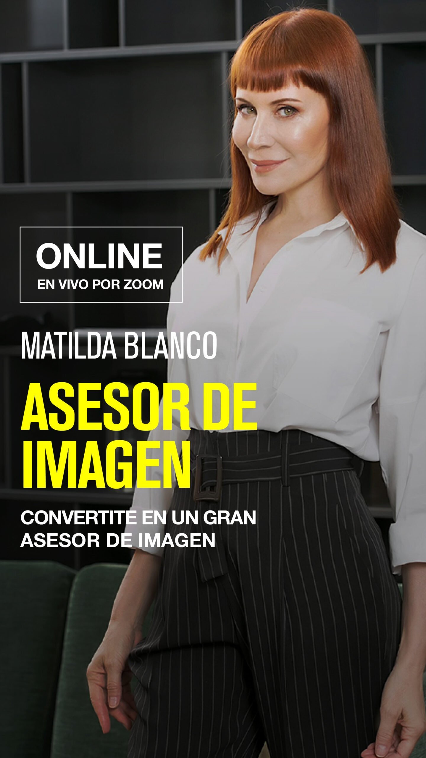 Asesor de Imagen
